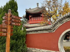 -西海子公园