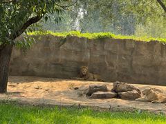 -北京野生动物园
