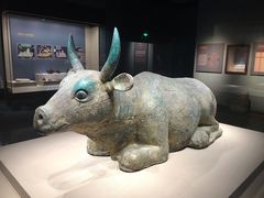 -宁夏博物馆