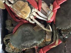 -巽寮印象美食部落餐厅·海鲜·地方特色菜(惠州体验店)