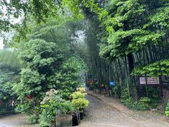 -缙云山景区