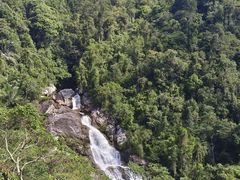 -海南热带雨林国家公园吊罗山景区