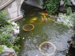 -檀园