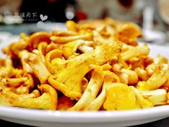 鸡油菌-翠府(翠湖北路店)