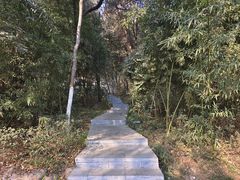 -云龙山