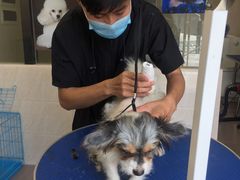 -爱诺耐芙动物医院(万博店)