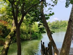 -西溪国家湿地公园