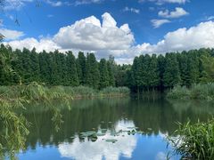 -捞渔河湿地公园