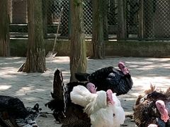 -南京金牛湖风景区