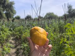 -松浦·观江国际