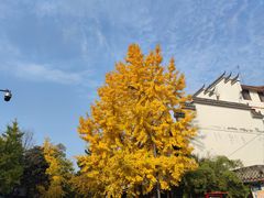 -成都市活水公园