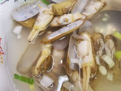 -渡海小渔村.老辈日照菜
