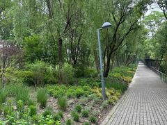 -西湖风景区-江洋畈生态公园