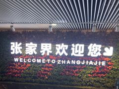 -张家界荷花国际机场