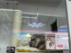 -百荣世贸商城