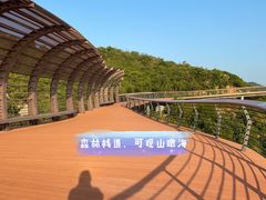 -东澳岛