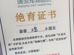 -瑞派紫金宠物医院24小时·骨科·中兽医·重症转诊中心(番禺大石院)