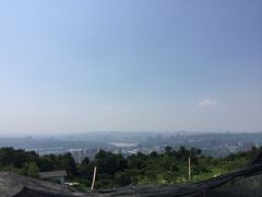 -铁山坪森林公园