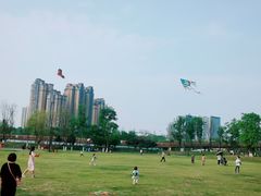 -府河摄影公园