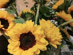 -北边的花店(泛悦城市广场店)