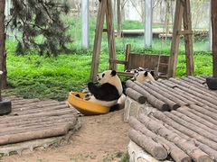 -西安秦岭野生动物园