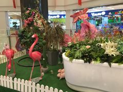 -凯德广场(武胜路店)