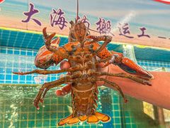-坛南湾阿强农家乐.海鲜大排档老字号(福州地标美食店)