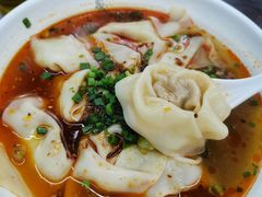 红油抄手-耙豌豆重庆小面