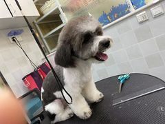 -芭比堂动物医院·犬猫全科·异宠专科(雁塔分院)