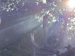 -莆田湄洲妈祖祖庙
