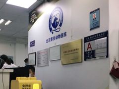 -北京赛佳动物医院