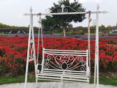 -广东花都香草世界旅游度假区