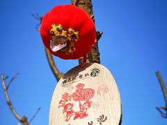 -白马涧龙池景区