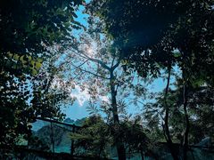 -火炉山森林公园