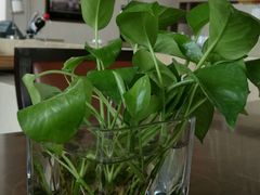 -逸廊大堂吧(三亚海棠湾万丽度假酒店)