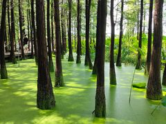 -云龙湖旅游景区