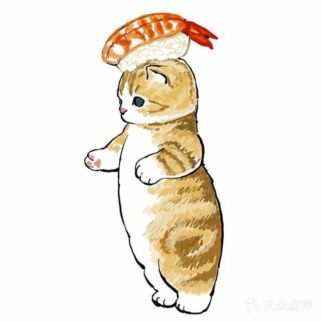 注意！前方有猫咪出没