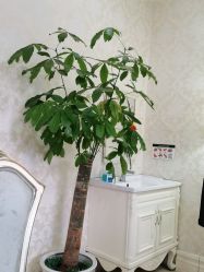 点击看大图 -重庆军科整形美容医院