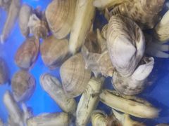 -悦巷海鲜自助铁板烧(秦皇东大街店)