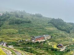 -紫鹊界梯田景区