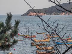 -海源公园