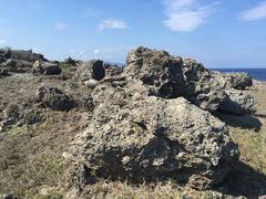 -龙坑生态保护区