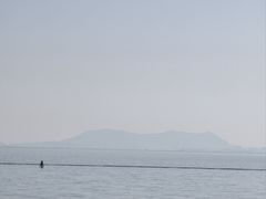-贡湖湾湿地公园