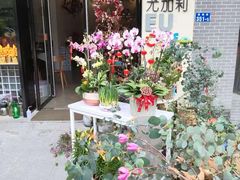 -尤加利咖啡馆