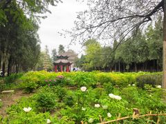 -洛阳白马寺