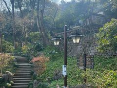 -吴山景区