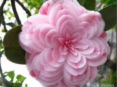 -廊坊文化艺术中心