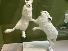 -国家自然博物馆