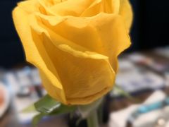 -青岛蓝海大饭店·爱琴海自助餐厅(崂山店)