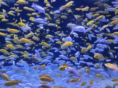 -成都浩海立方海洋公园